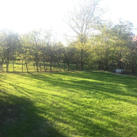 Green Nest Băneşti Dış mekan fotoğraf