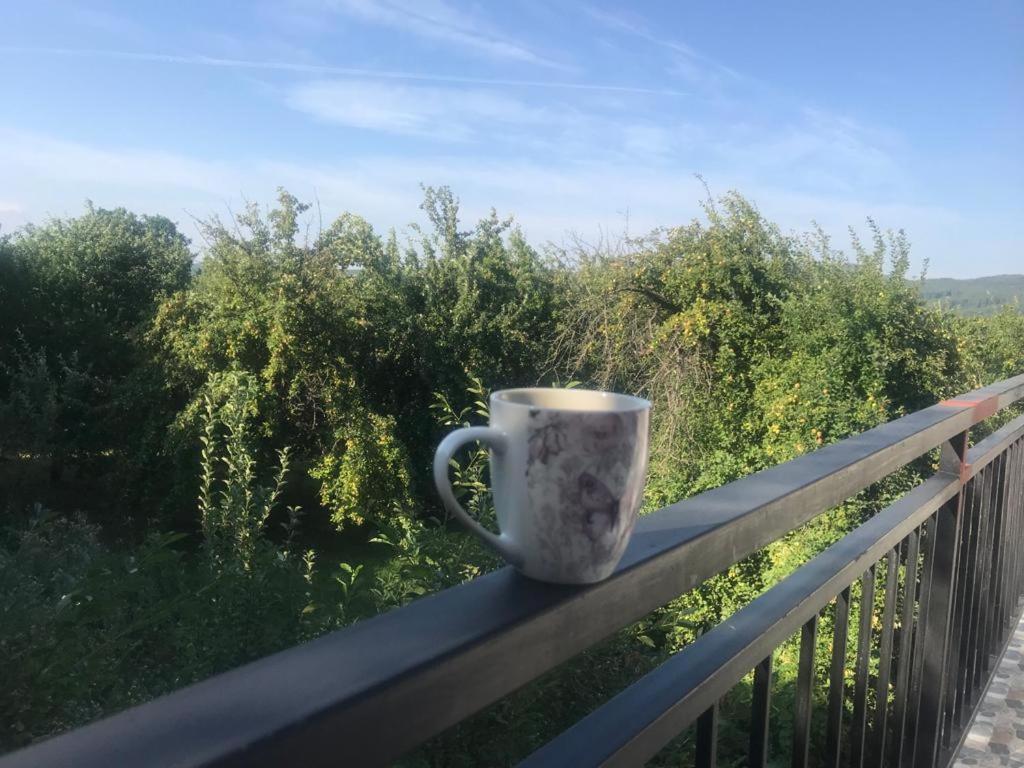 Green Nest Băneşti Dış mekan fotoğraf